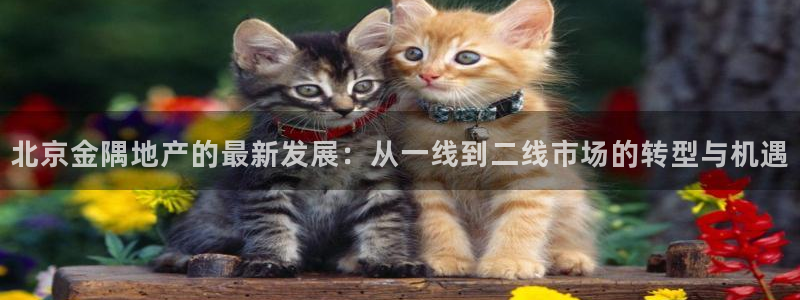 永利酒店管理有限公司