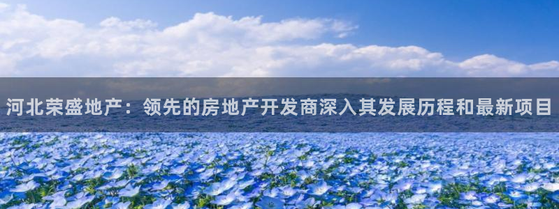 永利皮带官网价格查询系统