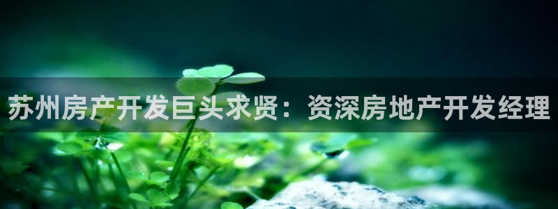 永利酒店老板