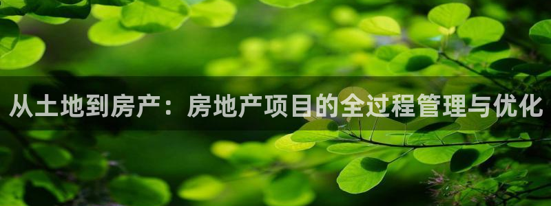 永利输的钱可以弄回来吗