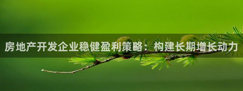 永利玩法