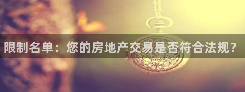 永利集团董事长