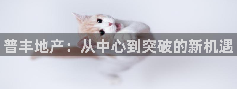 永利铔厂章用中