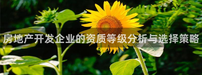 永利铔厂具体地址