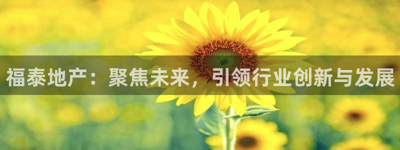 永利皮带官网