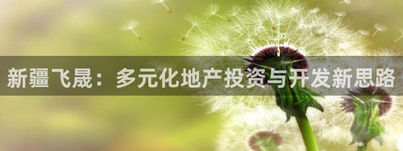 永利公司是干嘛的