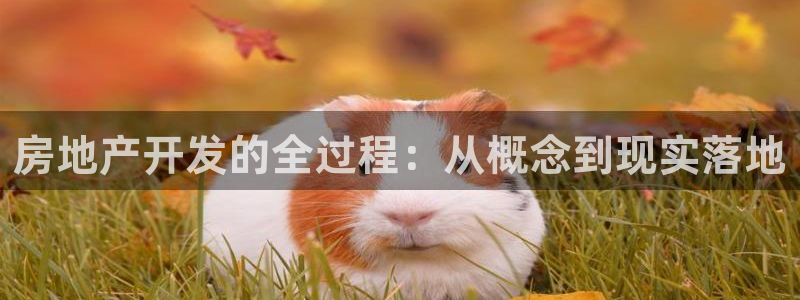 永利皮革有限公司